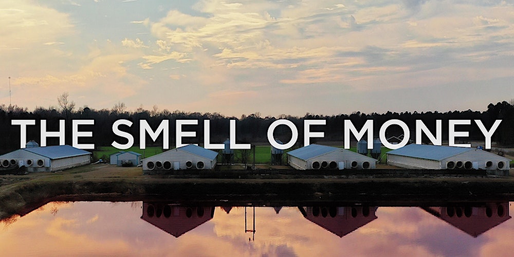 The Smell of Money is now streaming