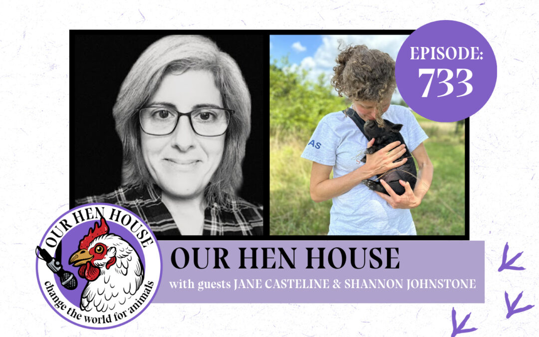 Jane and Shannon on Our Hen House Podcast